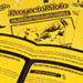 Proyecto Piloto
